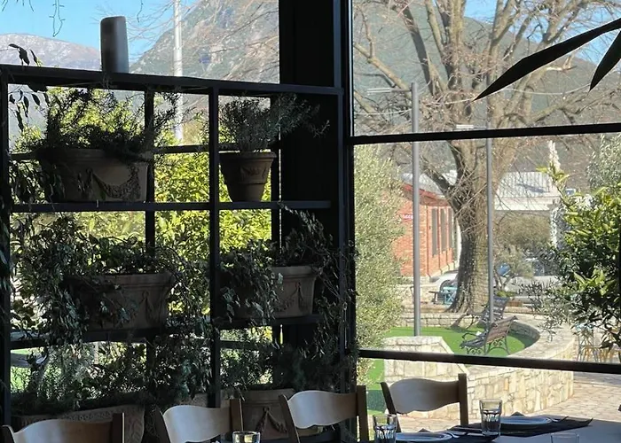 Отель Rozafa Fish *